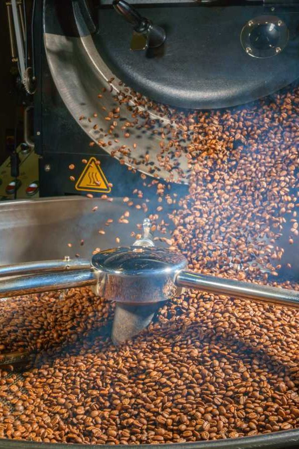 seed roaster3.0